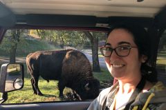 As physically close to a wild bison as I've ever been