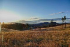 Custer State Park at sunrise