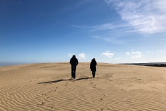 Dune walkers